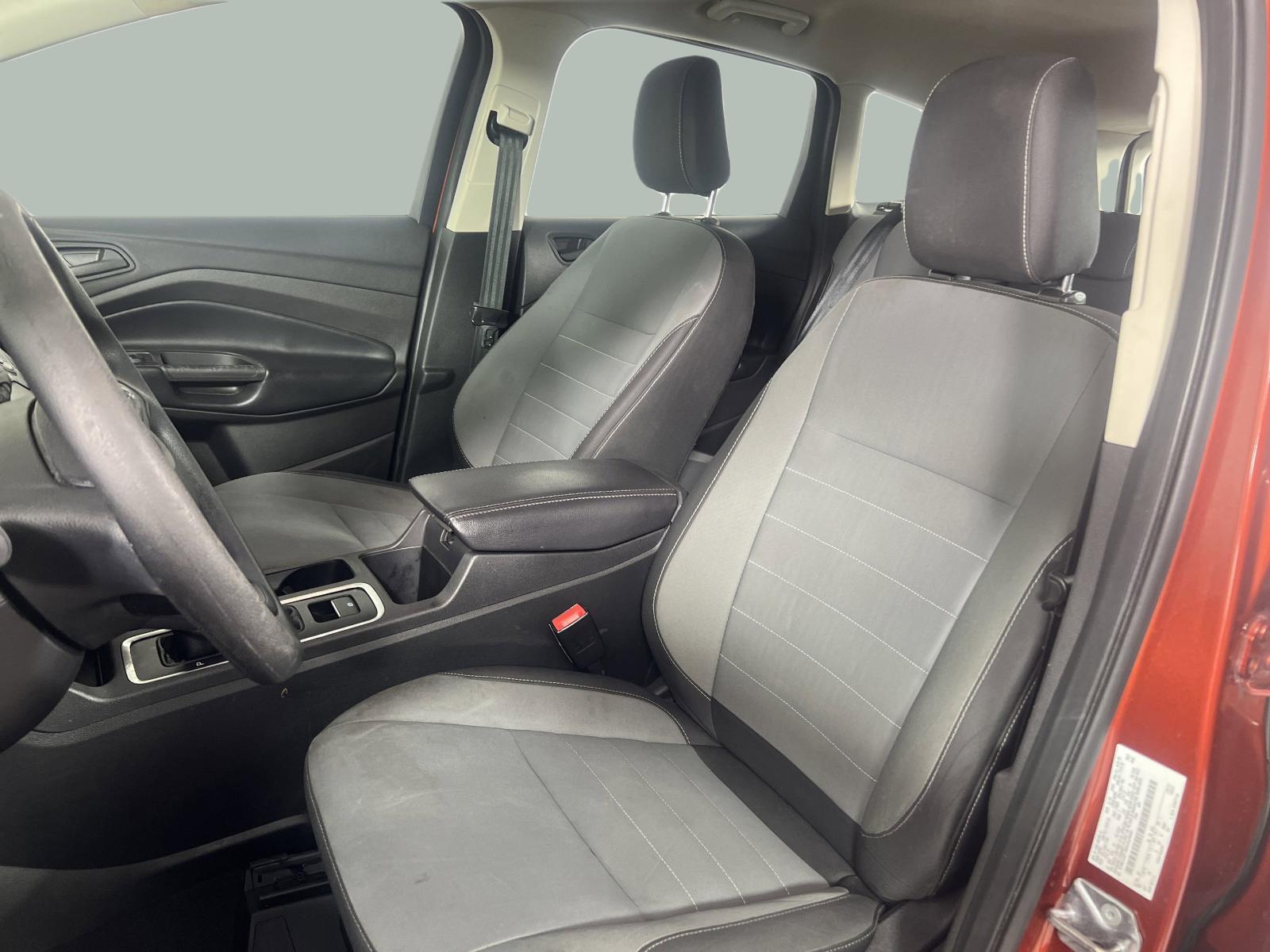2019 Ford Escape Vehicle Photo in Georgetown, TX 78626