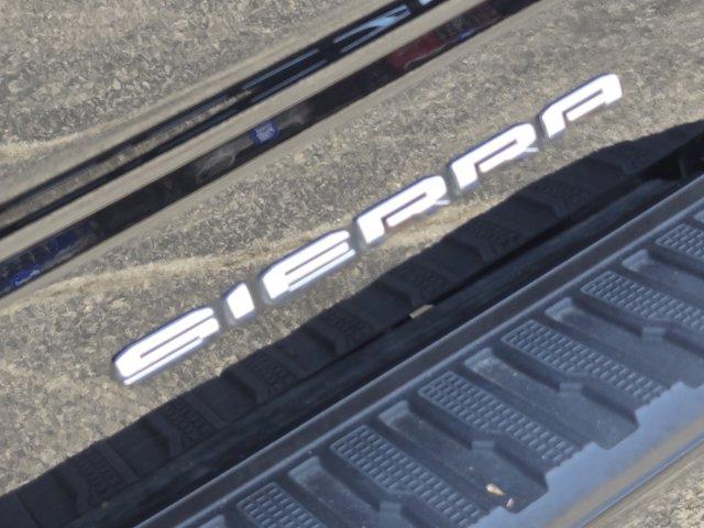2023 GMC Sierra 1500 Vehicle Photo in Decatur, TX 76234