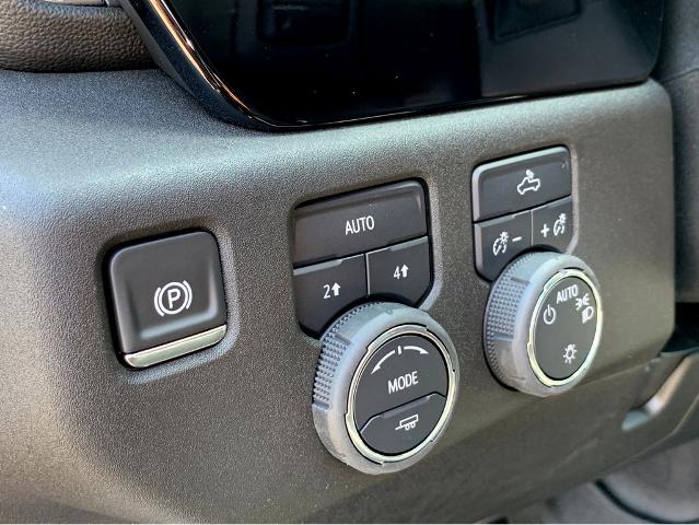 2025 Chevrolet Silverado 1500 Vehicle Photo in BEAUFORT, SC 29906-4218