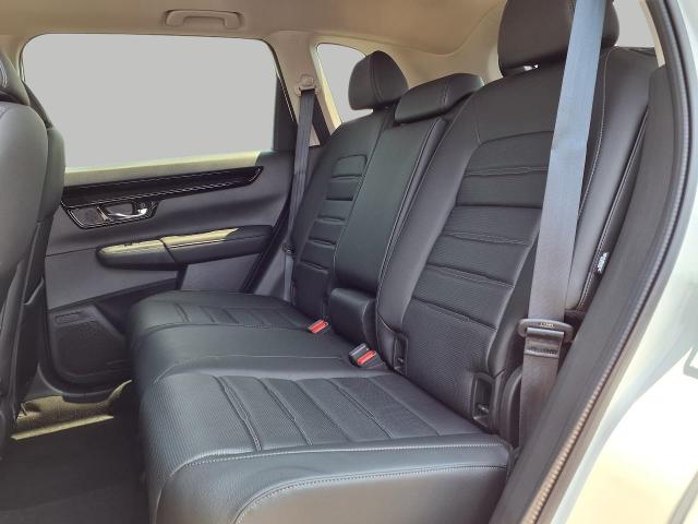 2026 Honda CR-V Vehicle Photo in Oshkosh, WI 54904