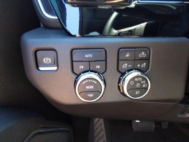 2024 GMC Sierra 1500 Vehicle Photo in NEDERLAND, TX 77627-8017