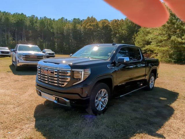 2025 GMC Sierra 1500 Vehicle Photo in ALBERTVILLE, AL 35950-0246