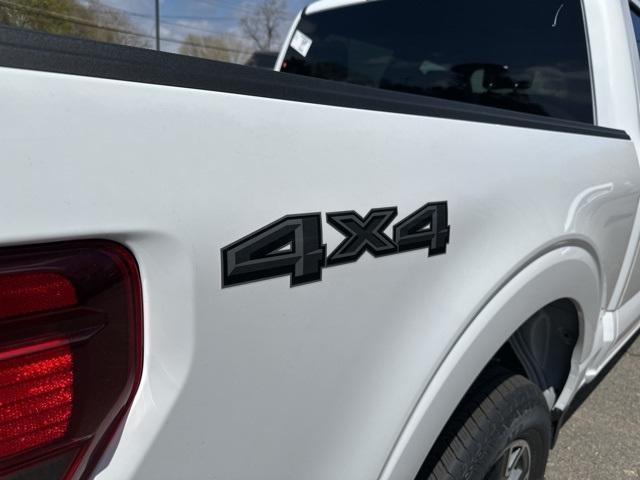 2025 Ford F-150 Vehicle Photo in Webster, MA 01570-1415