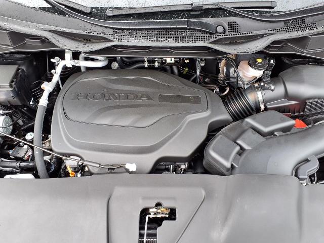 2025 Honda Odyssey Vehicle Photo in Oshkosh, WI 54904