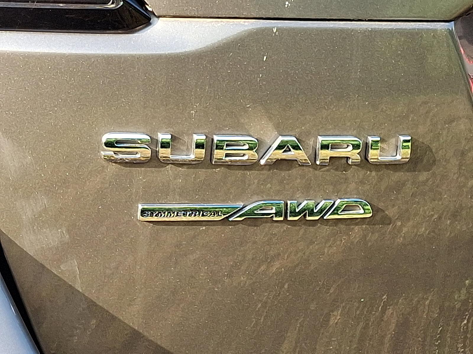 2024 Subaru Outback Vehicle Photo in Easton, PA 18045