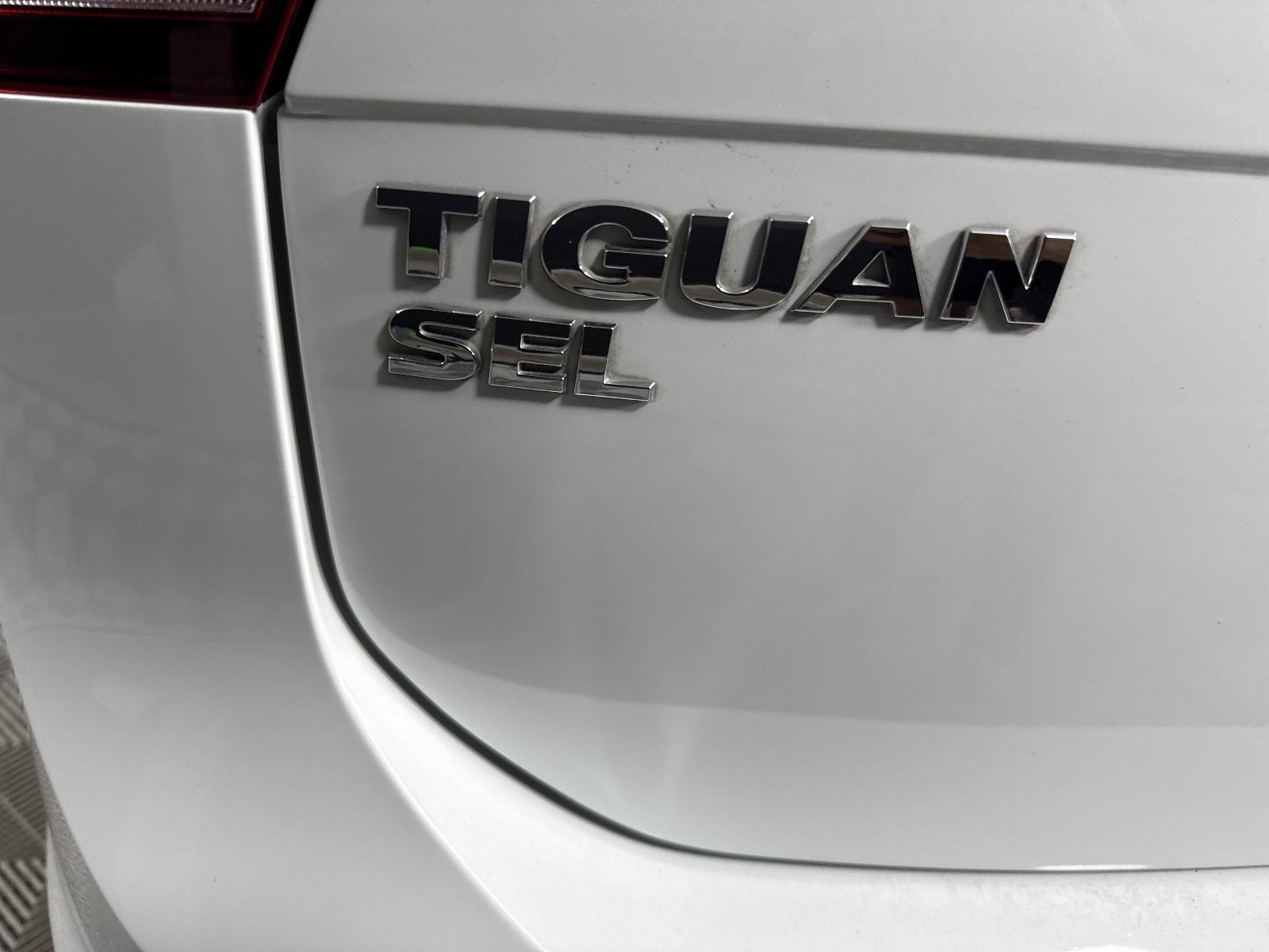 2019 Volkswagen Tiguan Vehicle Photo in Georgetown, TX 78626