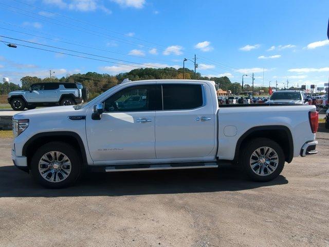 2025 GMC Sierra 1500 Vehicle Photo in ALBERTVILLE, AL 35950-0246