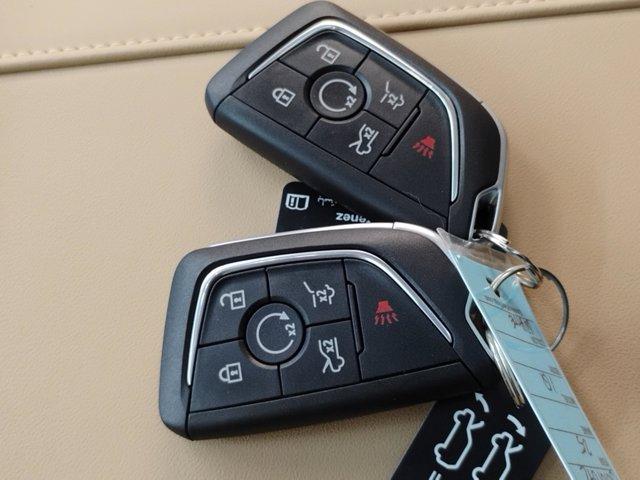 2025 Cadillac ESCALADE IQ Vehicle Photo in PINEVILLE, NC 28134-8495