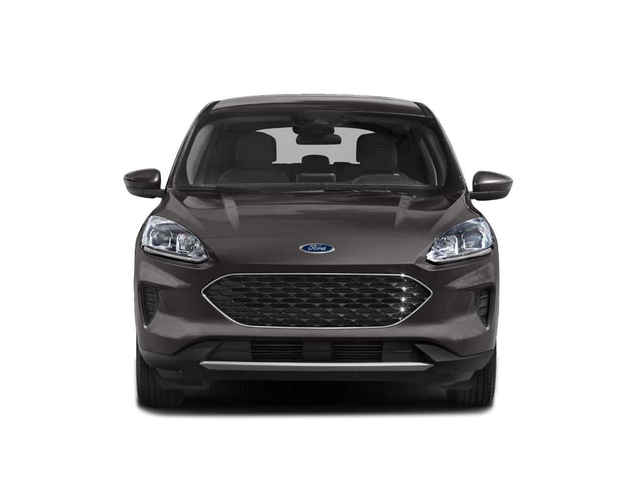 2022 Ford Escape Vehicle Photo in Green Bay, WI 54304