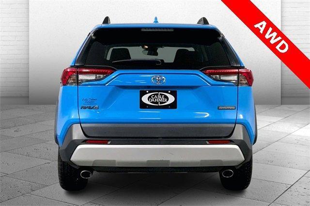 2019 Toyota RAV4 Vehicle Photo in INDEPENDENCE, MO 64055-1314