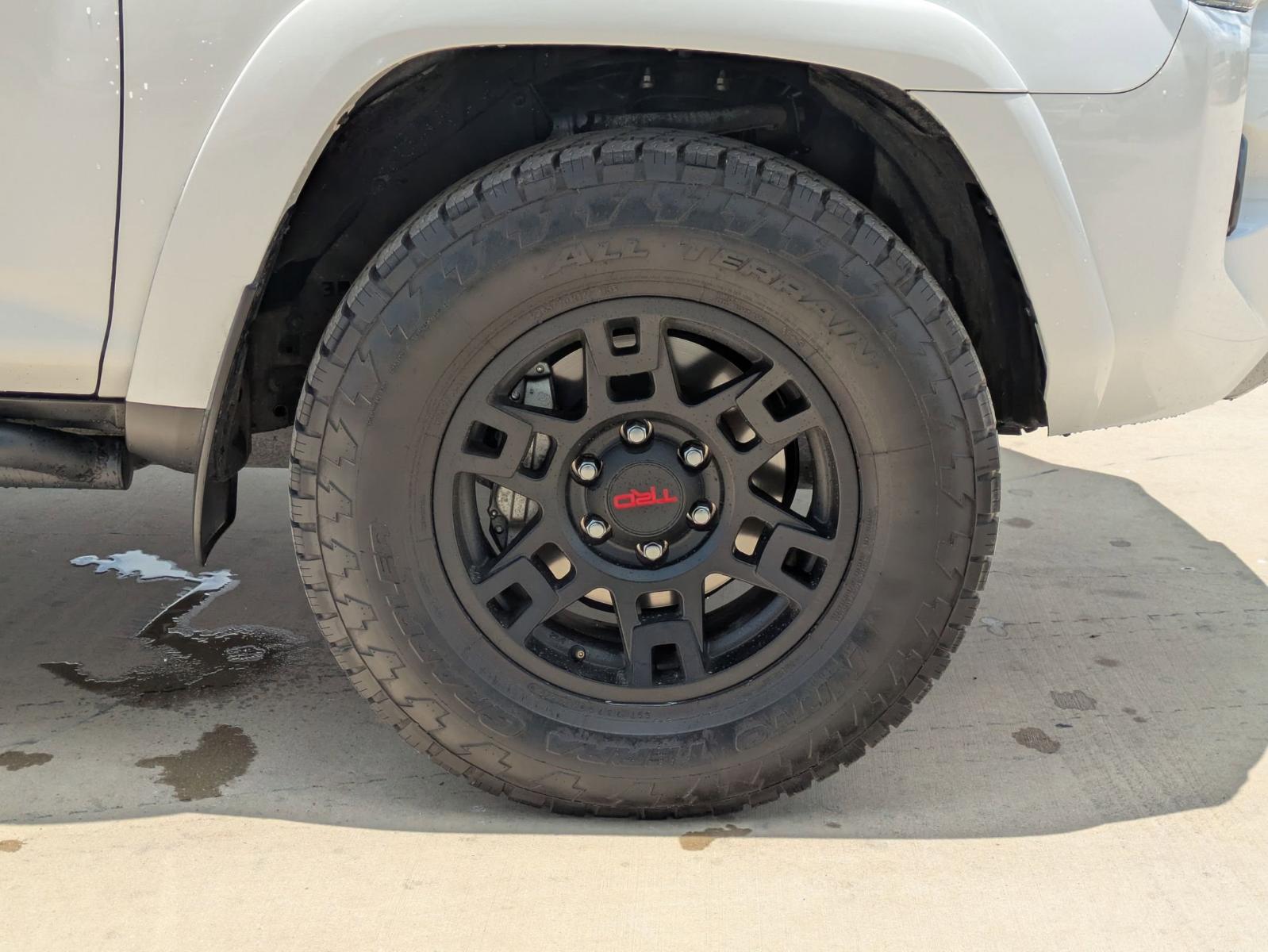 2024 Toyota 4Runner Vehicle Photo in SELMA, TX 78154-1460