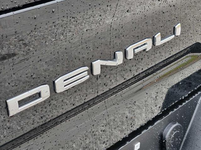 2024 GMC Sierra 2500 HD Vehicle Photo in DENTON, TX 76210-9321