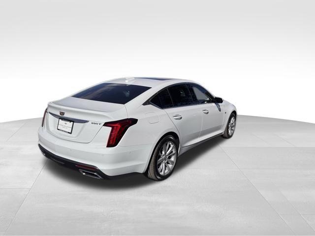 2025 Cadillac CT5 Vehicle Photo in DELRAY BEACH, FL 33483-3294