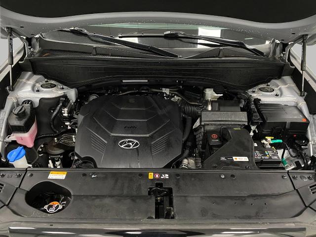 2024 Hyundai PALISADE Vehicle Photo in Appleton, WI 54913