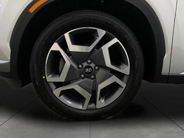 2024 Hyundai PALISADE Vehicle Photo in Appleton, WI 54913