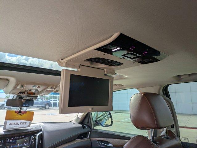 2020 Cadillac Escalade Vehicle Photo in SELMA, TX 78154-1460