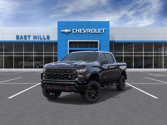 2025 Chevrolet Silverado 1500 Vehicle Photo in Roslyn, NY 11576