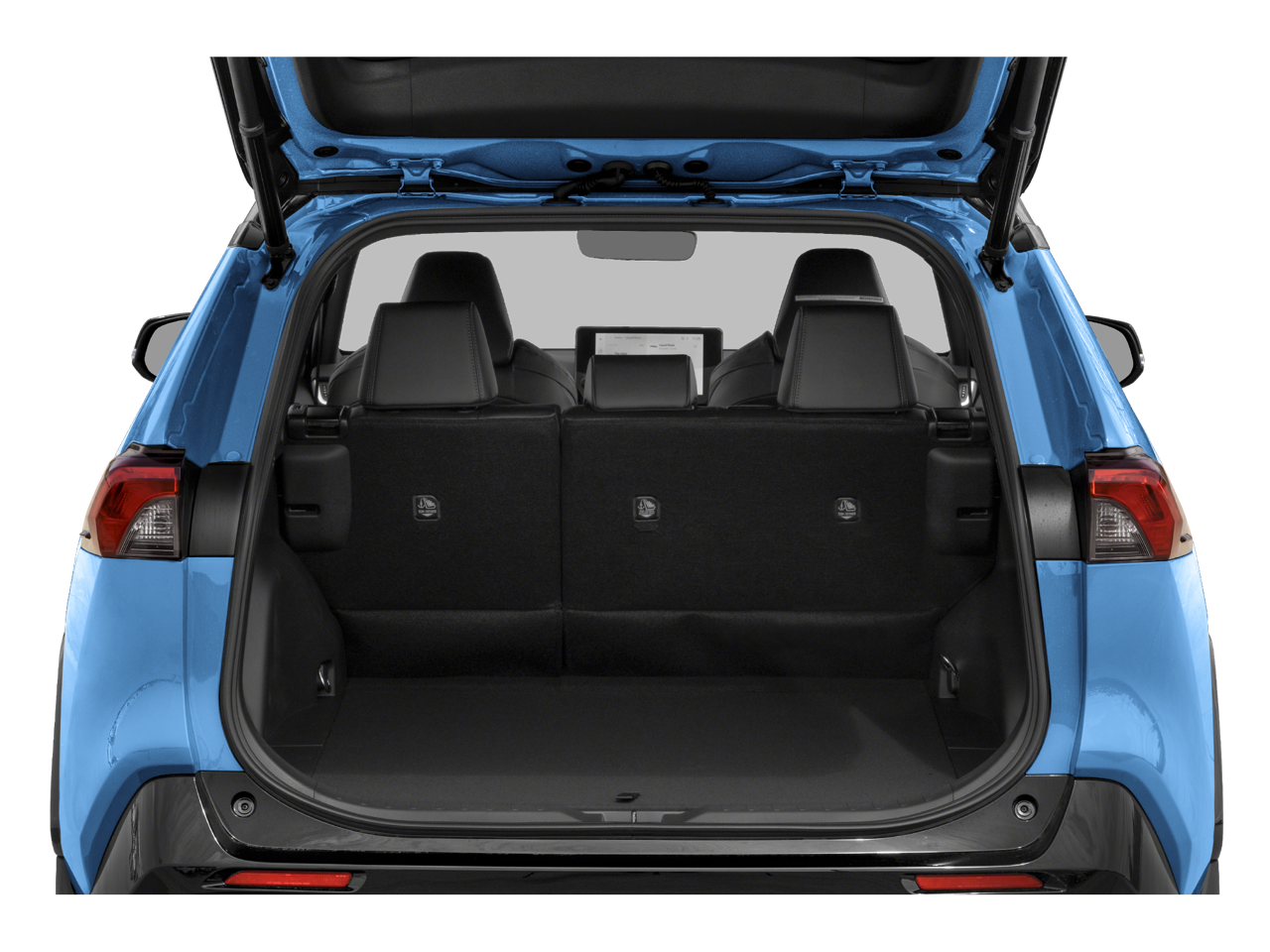 2024 Toyota RAV4 Vehicle Photo in San Antonio, TX 78230