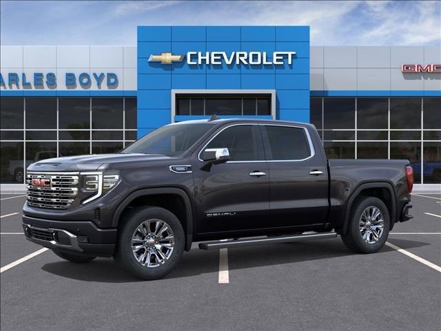 2025 GMC Sierra 1500 Vehicle Photo in HENDERSON, NC 27536-2966