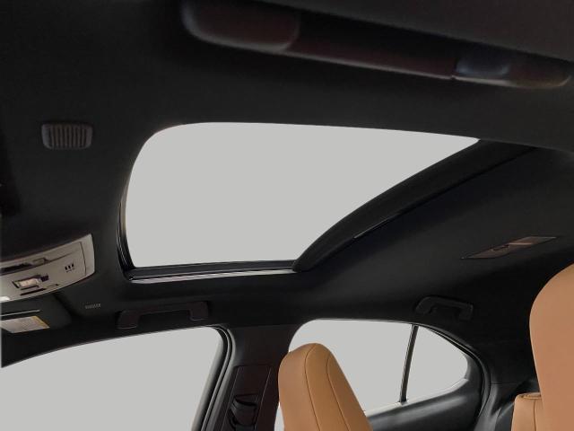 2025 Lexus UX 300h Vehicle Photo in Appleton, WI 54913