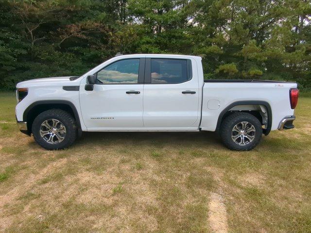 2024 GMC Sierra 1500 Vehicle Photo in ALBERTVILLE, AL 35950-0246