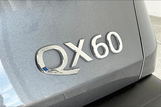 2024 INFINITI QX60 Vehicle Photo in Grapevine, TX 76051