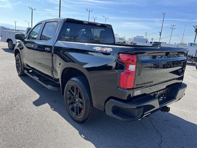 2023 Chevrolet Silverado 1500 Vehicle Photo in ALCOA, TN 37701-3235