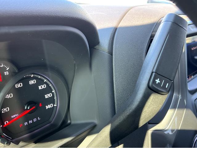 2025 Chevrolet Silverado 1500 Vehicle Photo in SAVANNAH, GA 31406-4513