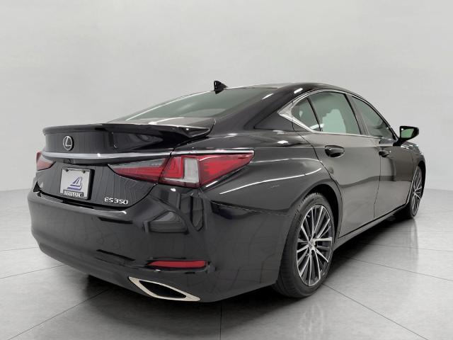 2022 Lexus ES 350 Vehicle Photo in Oshkosh, WI 54904