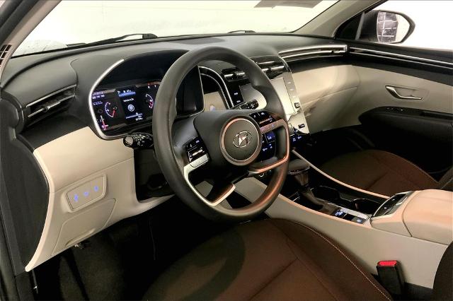 2024 Hyundai TUCSON Vehicle Photo in Lees Summit, MO 64086