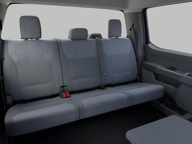 2025 Ford Super Duty F-250 SRW Vehicle Photo in Neenah, WI 54956