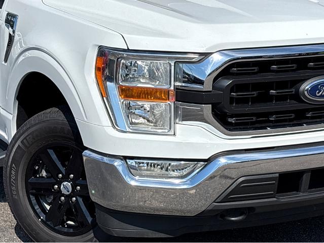 2021 Ford F-150 Vehicle Photo in BEAUFORT, SC 29906-4218