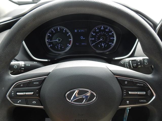 2019 Hyundai SANTA FE Vehicle Photo in JASPER, GA 30143-8655