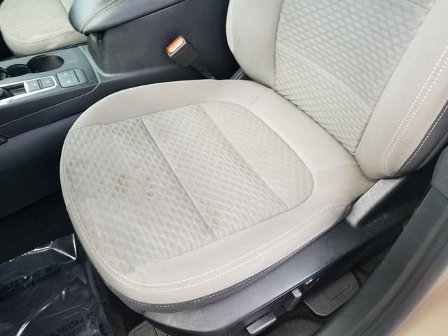 2021 Ford Escape Vehicle Photo in ELYRIA, OH 44035-6349
