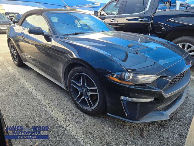 2022 Ford Mustang Vehicle Photo in DENTON, TX 76210-9321