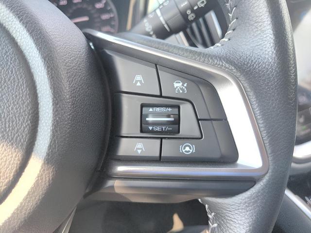 2022 Subaru Outback Vehicle Photo in Green Bay, WI 54304