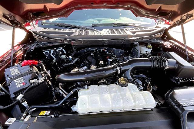 2024 Ford F-150 Vehicle Photo in San Antonio, TX 78230