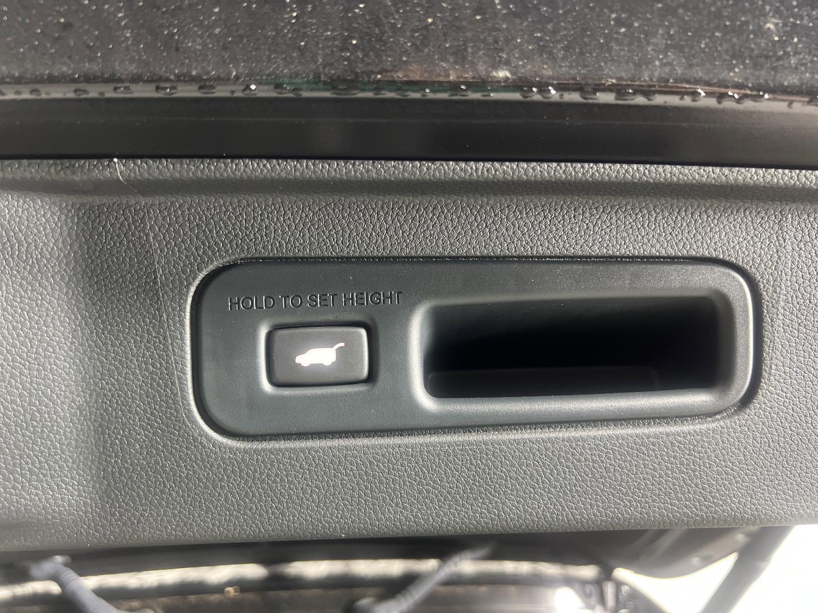 2023 Honda Pilot Vehicle Photo in Georgetown, TX 78626