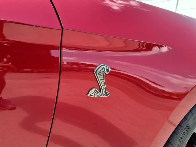 2021 Ford Mustang Vehicle Photo in Tampa, FL 33612