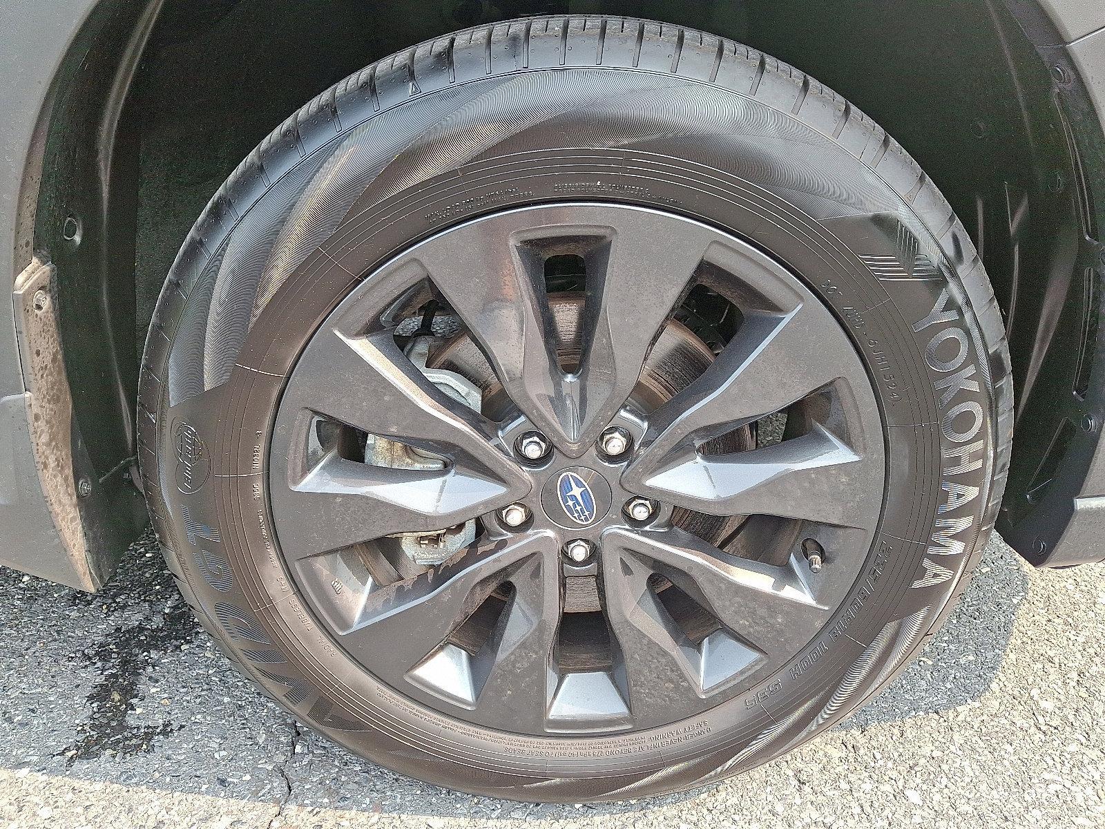 2025 Subaru Outback Vehicle Photo in Easton, PA 18045