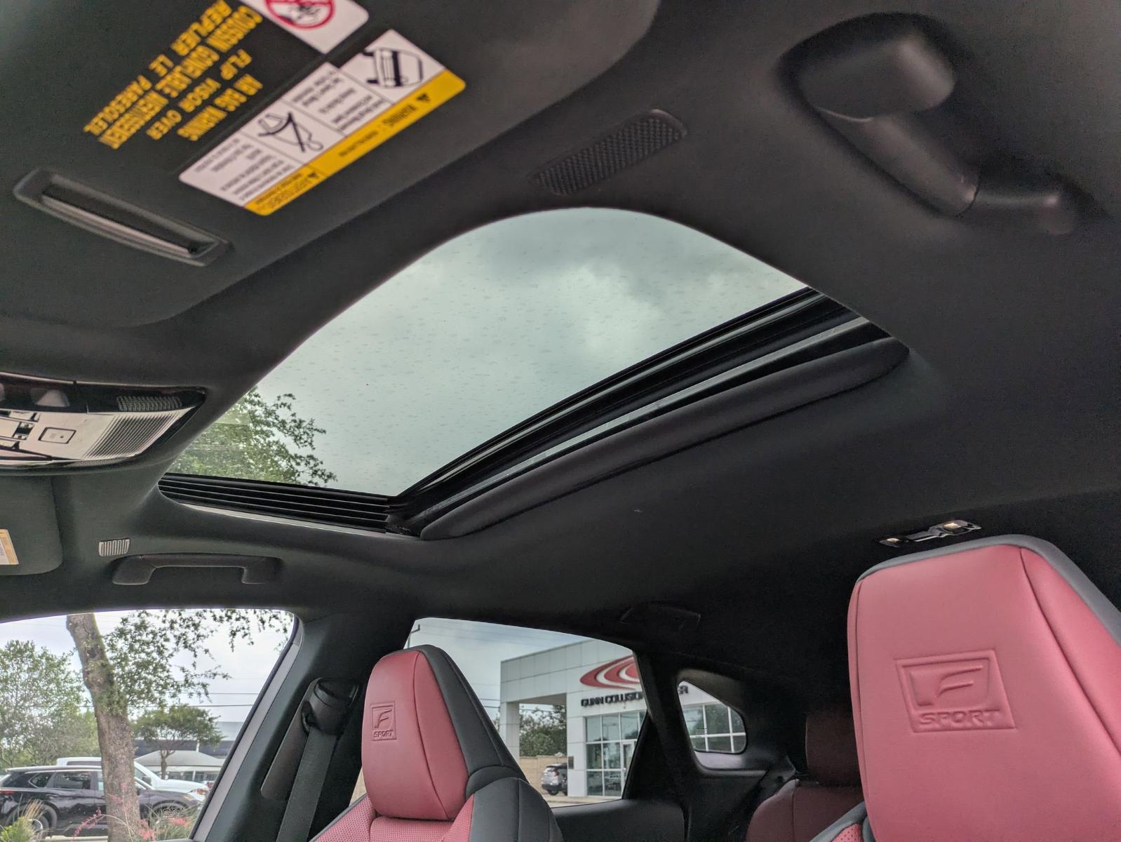 2023 Lexus RX Vehicle Photo in SELMA, TX 78154-1460