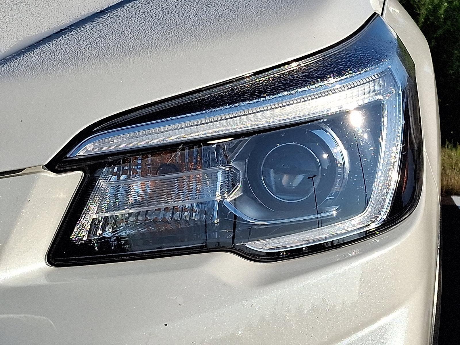 2020 Subaru Forester Vehicle Photo in Easton, PA 18045