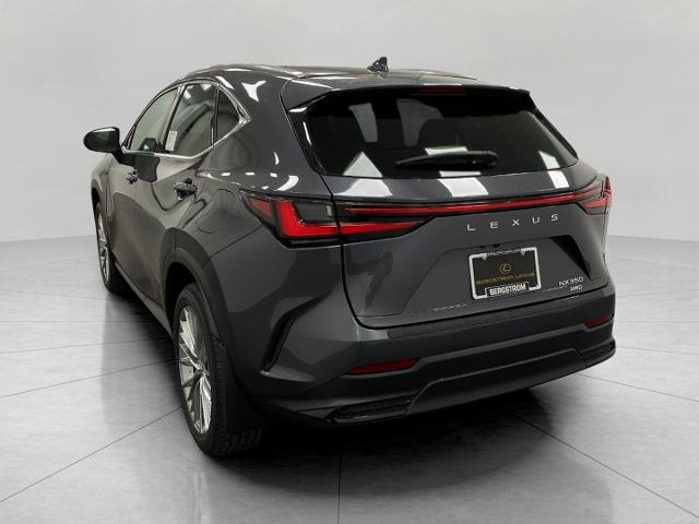 2025 Lexus NX 350 Vehicle Photo in Appleton, WI 54913