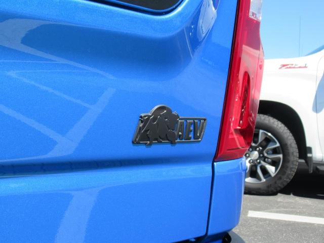 2025 Chevrolet Silverado 1500 Vehicle Photo in LEESBURG, FL 34788-4022