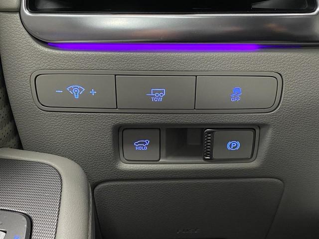 2024 Hyundai PALISADE Vehicle Photo in Appleton, WI 54913