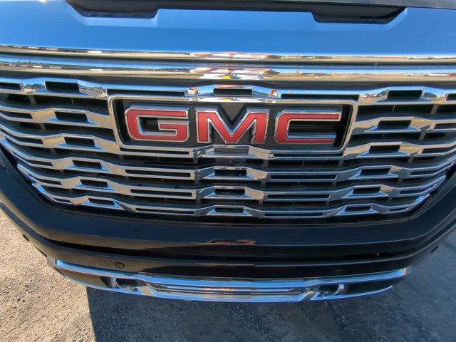 2025 GMC Sierra 1500 Vehicle Photo in ALBERTVILLE, AL 35950-0246