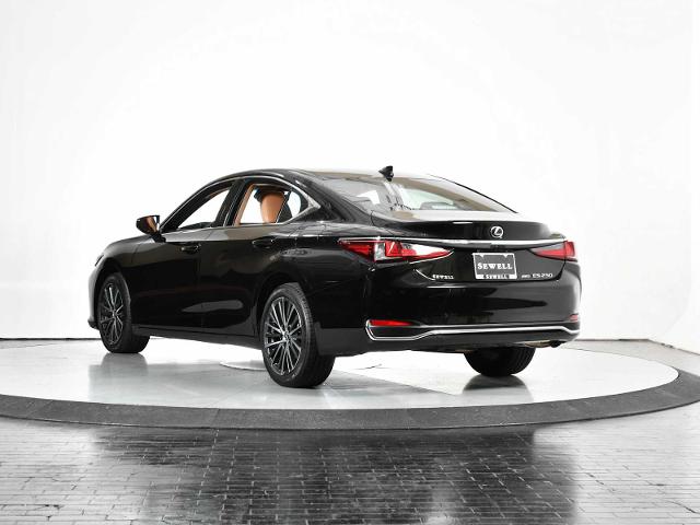 2024 Lexus ES 250 Vehicle Photo in DALLAS, TX 75235