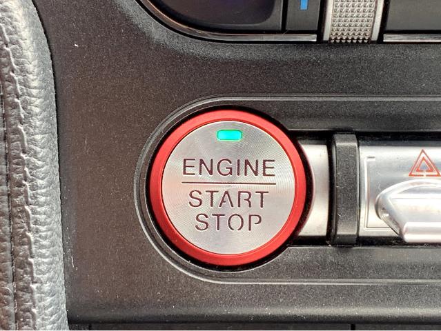 2023 Ford Mustang Vehicle Photo in BEAUFORT, SC 29906-4218