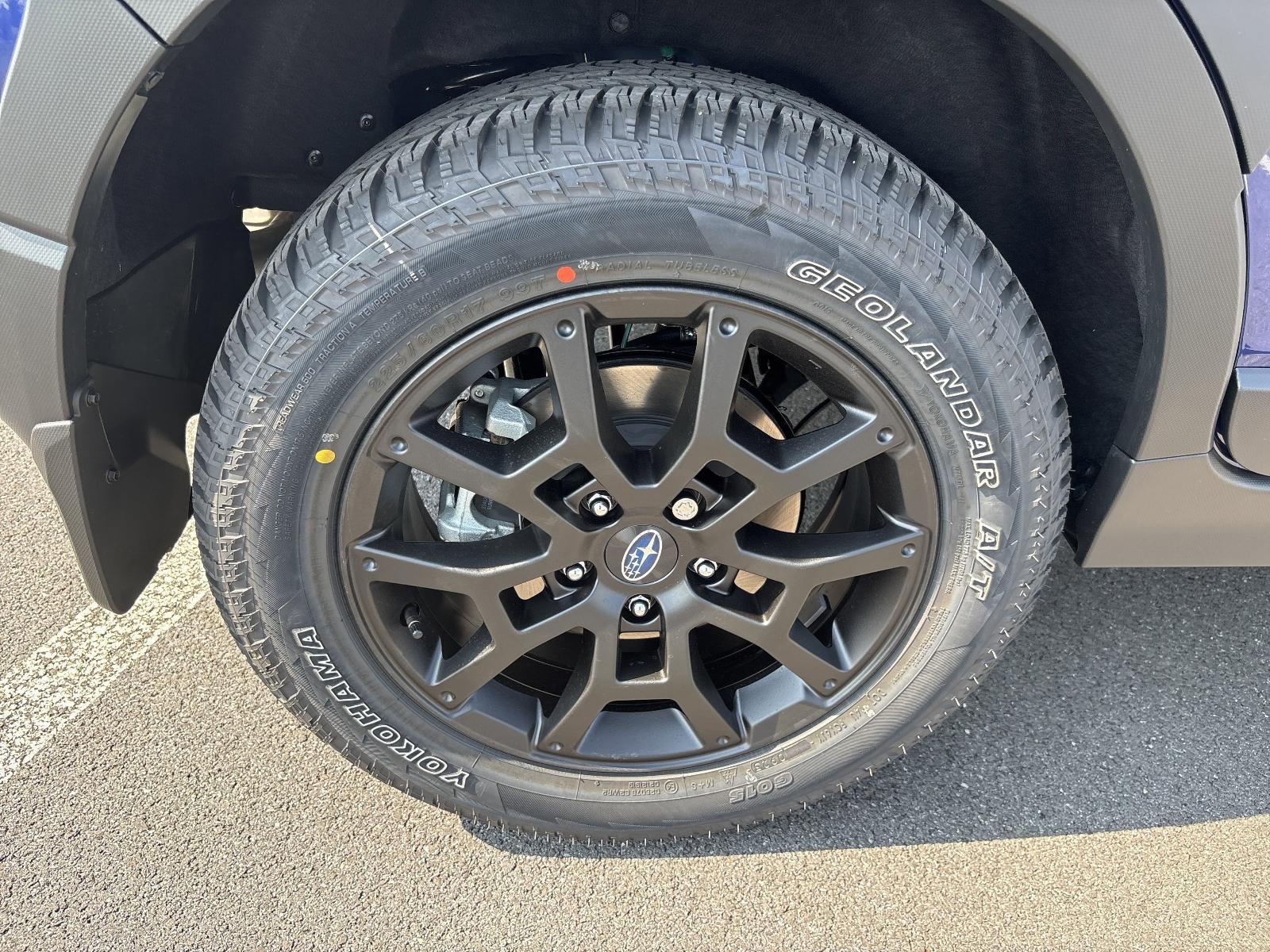 2025 Subaru Crosstrek Vehicle Photo in Mechanicsburg, PA 17050
