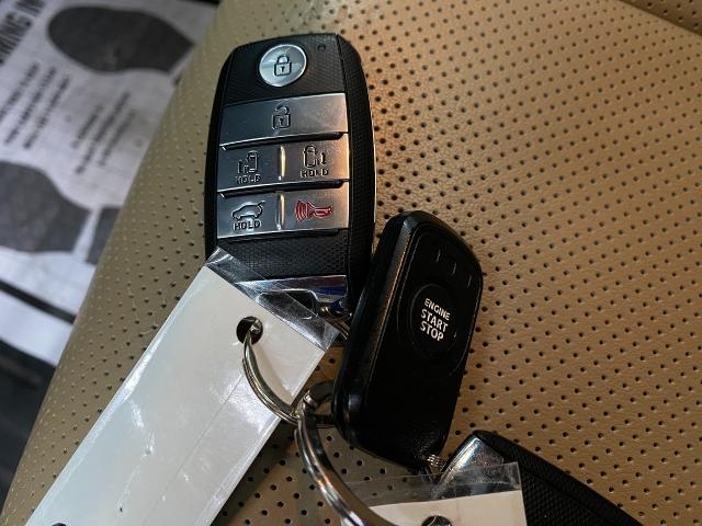 2018 Kia Sedona Vehicle Photo in Appleton, WI 54913